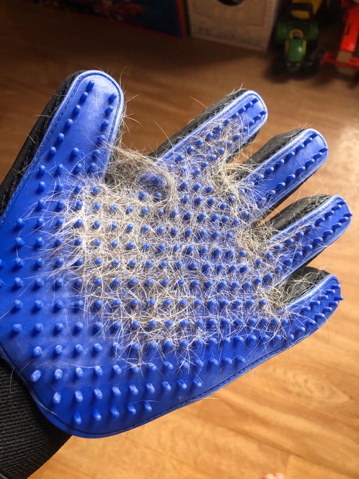 Cat Grooming Glove photo review