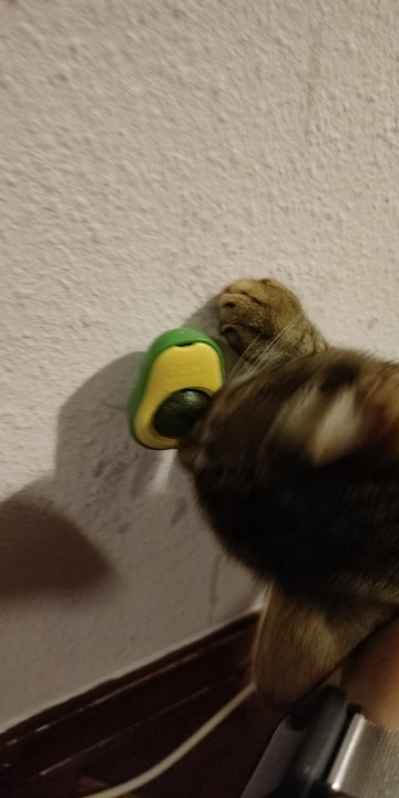 Cat Licking Toy with Catnip and Fruit photo review