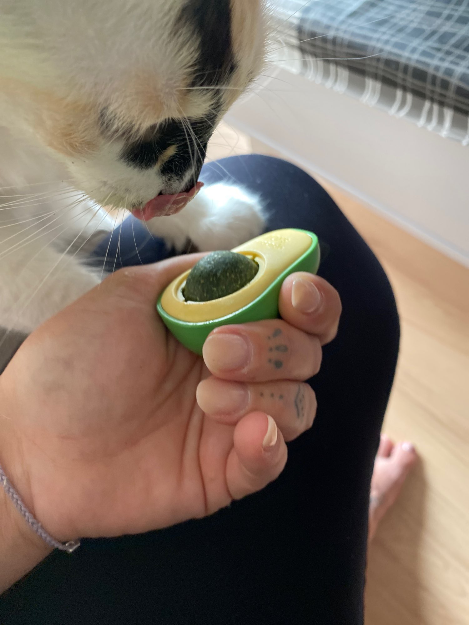 Cat Licking Toy with Catnip and Fruit photo review