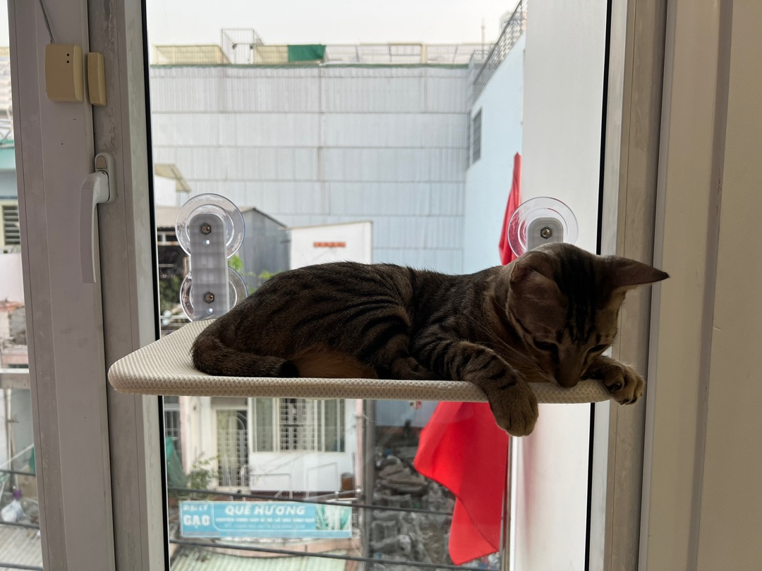 Foldable Wireless Cat Window Hammock Convenient photo review