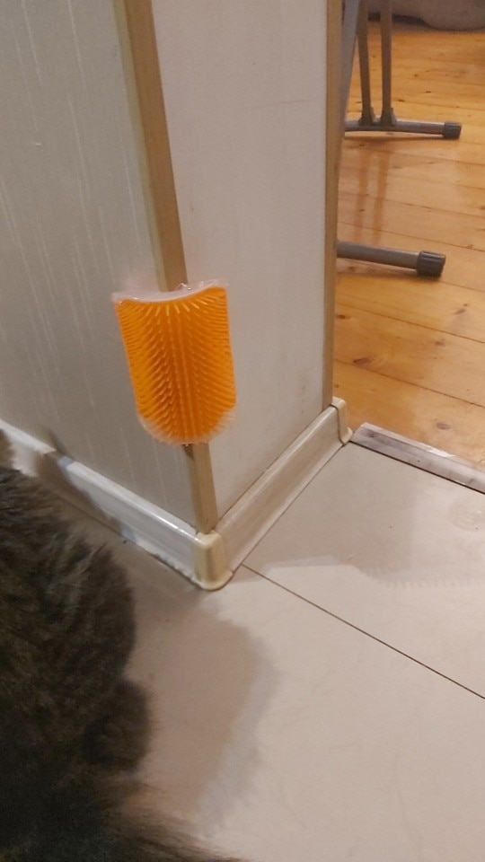 Cat Self-Grooming Brush Pet Wall Rubbing Device photo review