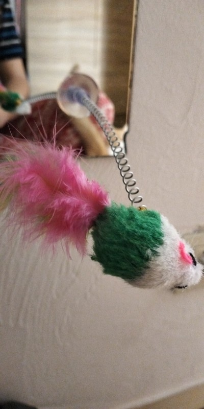 Interactive Mouse Toy With Feathers For Cats photo review