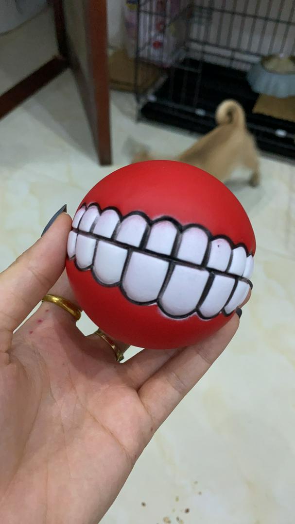 Chewy Dog Toy Ball With Teeth photo review