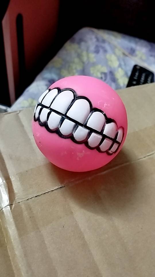 Chewy Dog Toy Ball With Teeth photo review