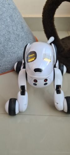 Electric Remote Control Smart Robot Dog Smart Children's Electronic Pet Toy photo review