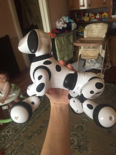 Electric Remote Control Smart Robot Dog Smart Children's Electronic Pet Toy photo review