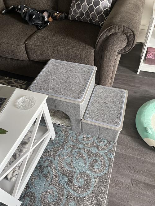 CozyUp Folding Pet Steps photo review