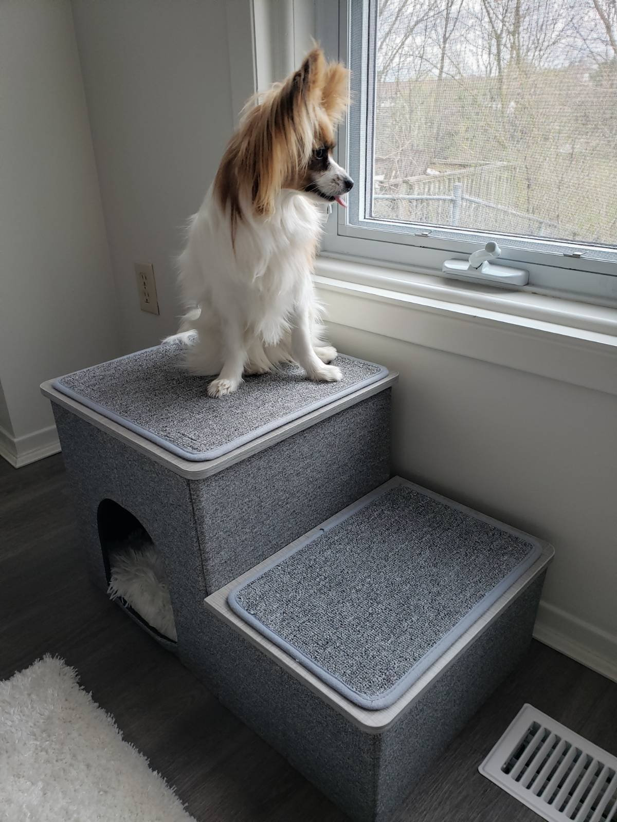 CozyUp Folding Pet Steps photo review