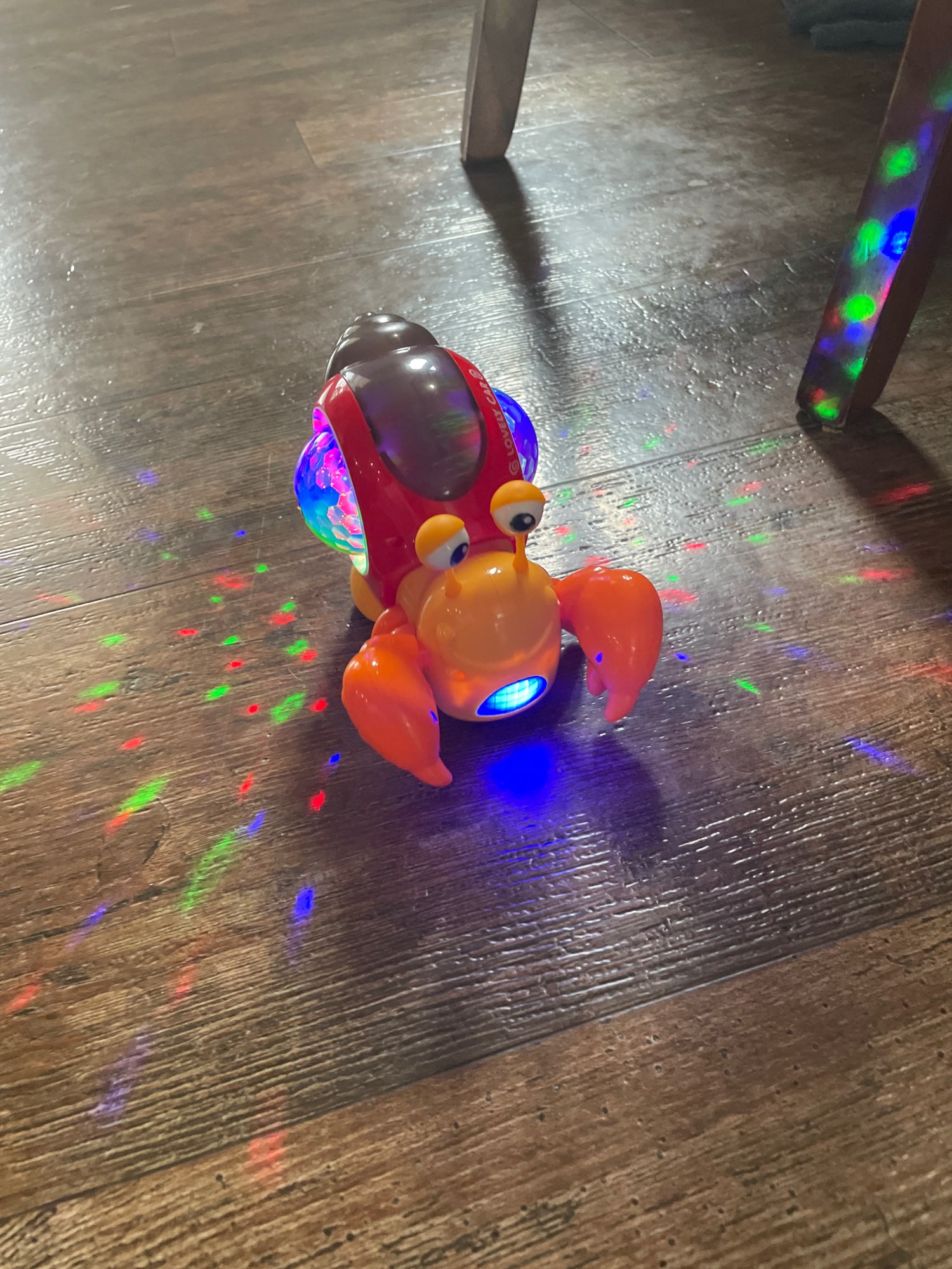 Electric Sound Light Hermit Crab Toy photo review