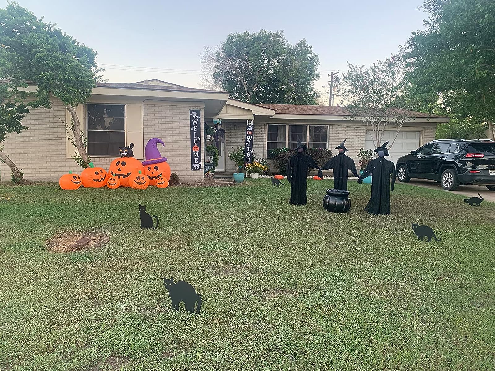 Garden Ornaments Halloween Ornaments Black Cat Balls photo review