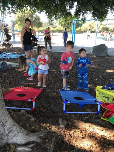 Deluxe Regulation Corn Hole Bean Bag Toss Game Set photo review