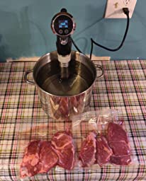 Digital Vacuum Slow Sous Vide Food Cooker photo review