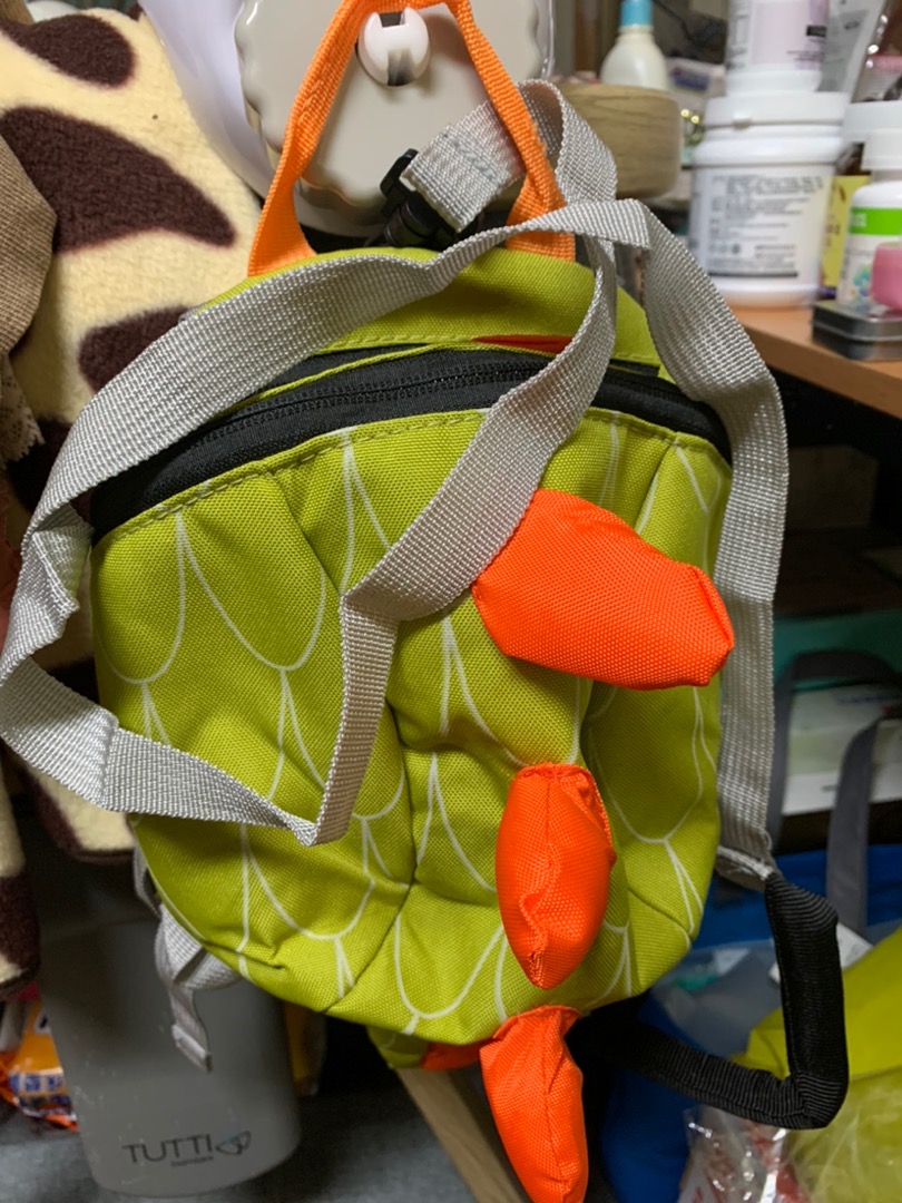 Dino Kids Backpack photo review