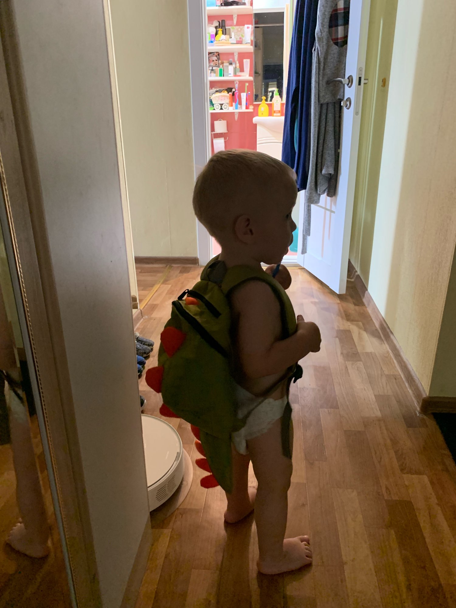 Dino Kids Backpack photo review