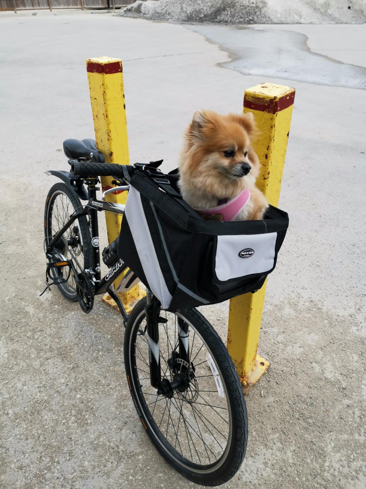 Dog Bicycle Basket photo review