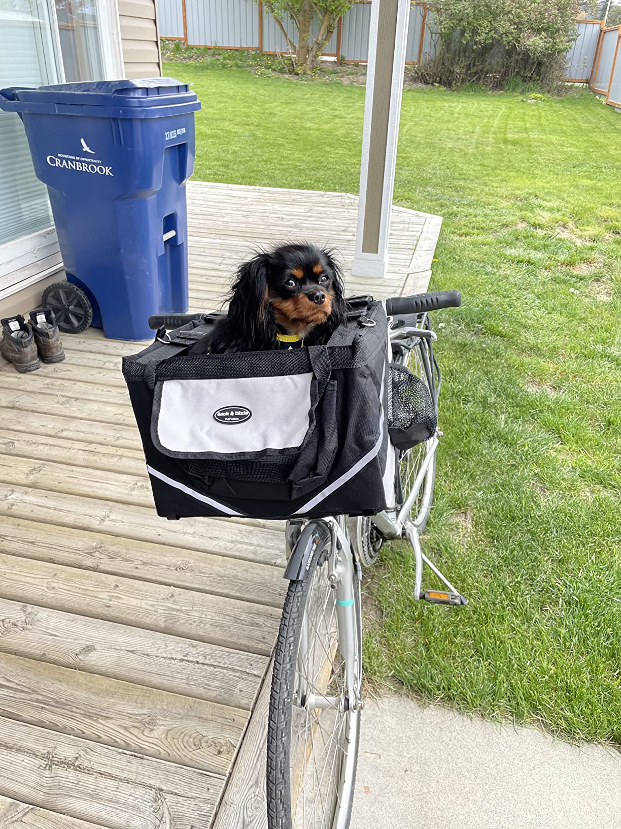 Dog Bicycle Basket photo review