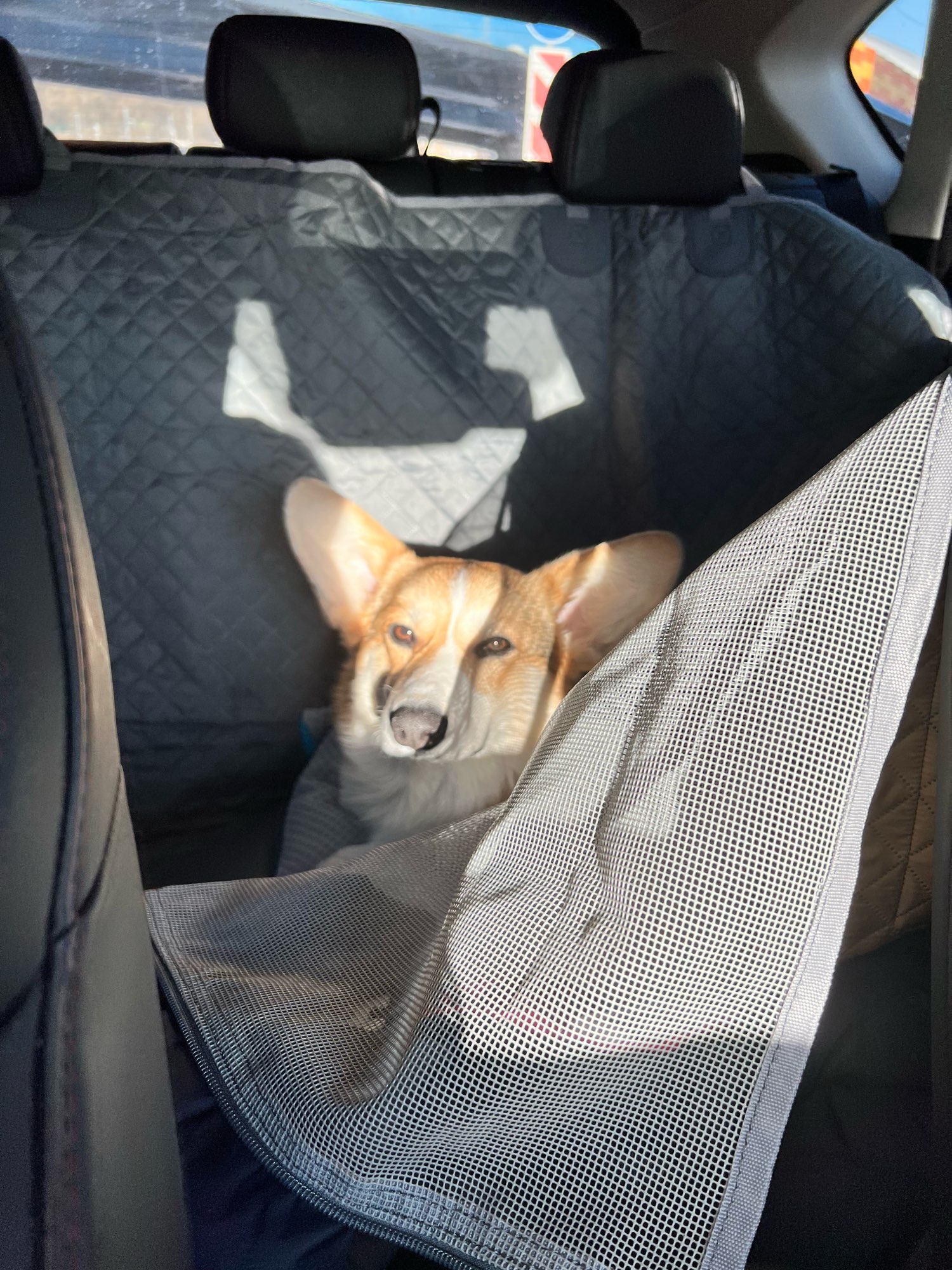 Dog Car Seat Cover Waterproof for Pet Travel photo review