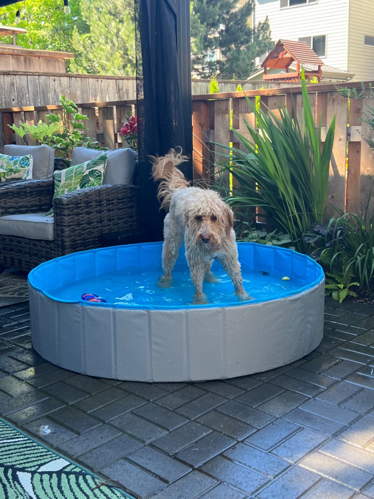 Foldable Dog Pool for Bathing - Indoor Outdoor Pet Tub for Dogs Cats Kids photo review