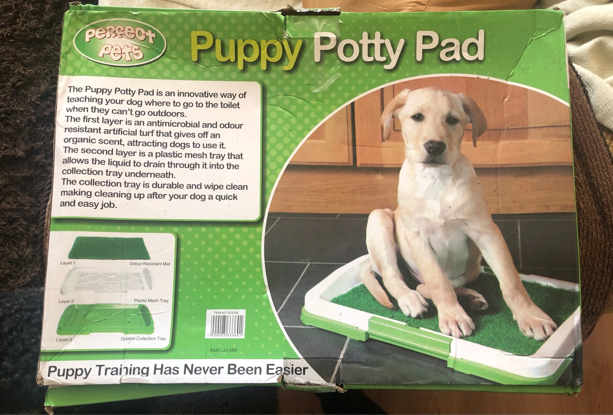 Dog Toilet Mat Indoor Restroom Training Grass Potty Pad photo review