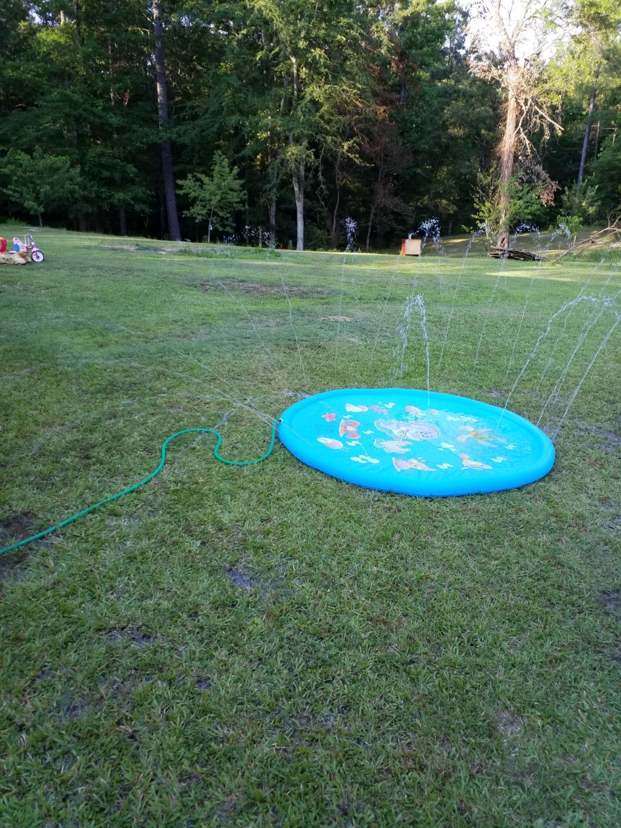 Dog Water Sprinkler Pad photo review