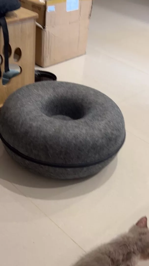 Comfortable Four Season Round Felt Pet Nest photo review