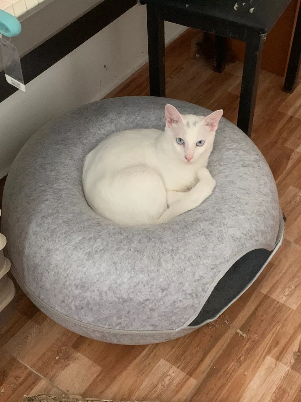 Comfortable Four Season Round Felt Pet Nest photo review