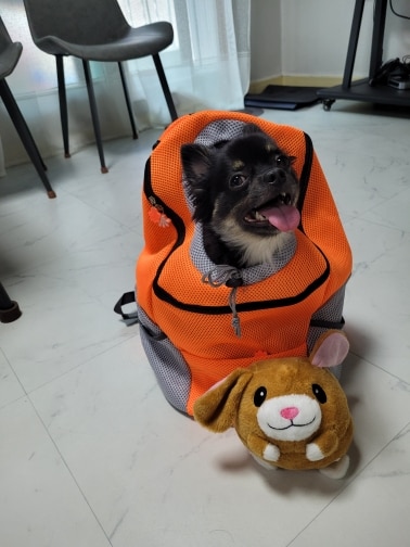 Double Shoulder Portable Dog Carrier Backpack photo review