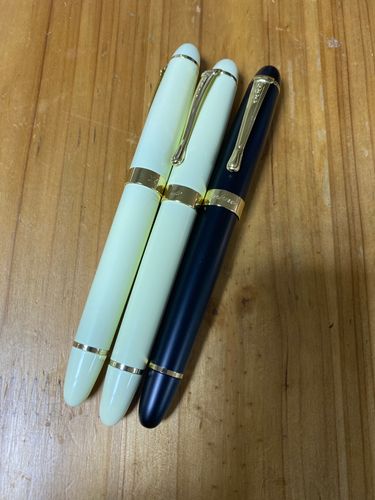 Executive Flexible Nib Fountain Pen photo review