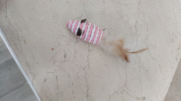 Interactive Cat Toy Mouse with Feather Tail photo review