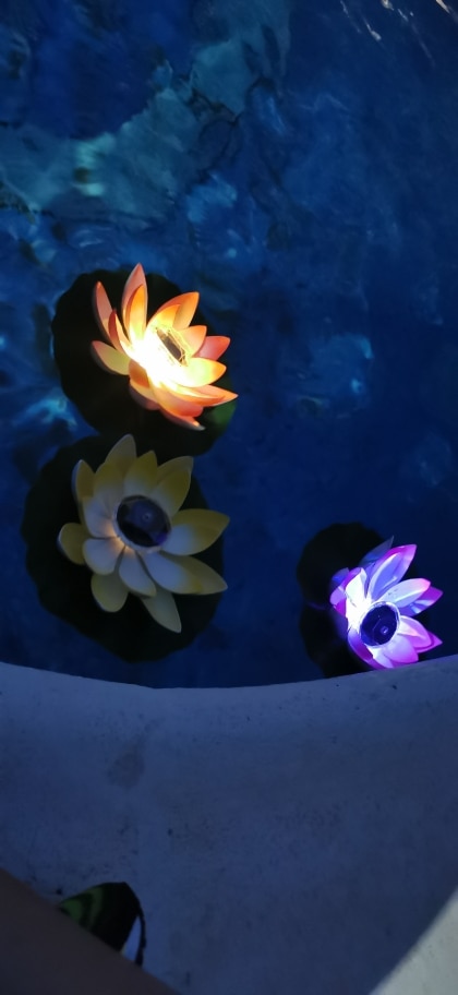 Floating Lotus Flower Solar Pool Lights photo review