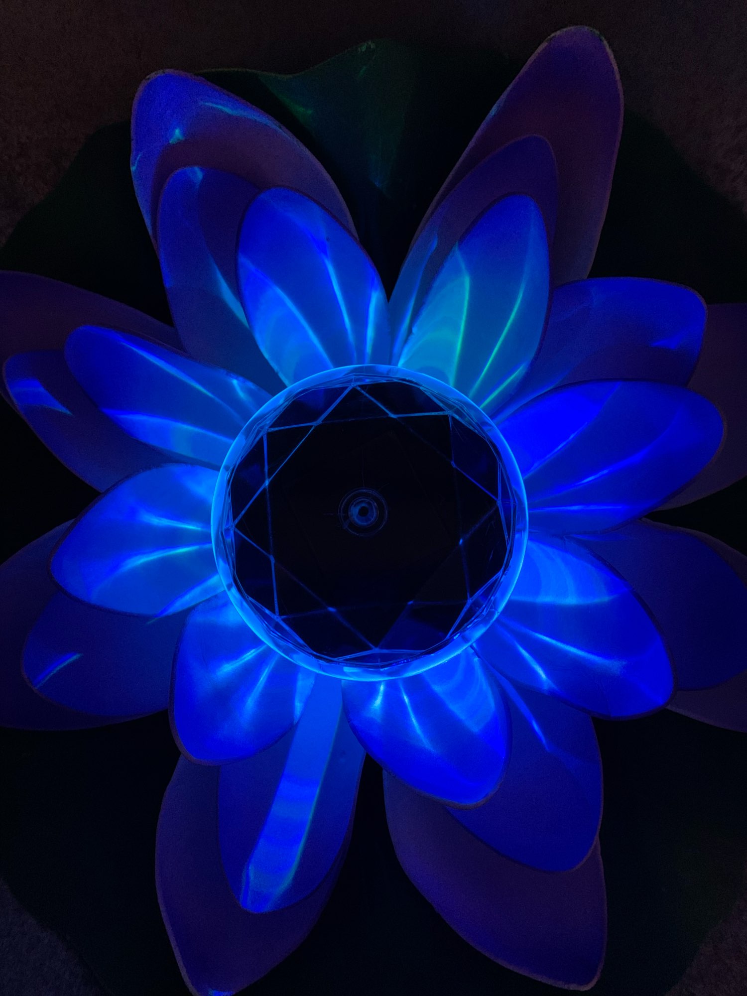 Floating Lotus Flower Solar Pool Lights photo review