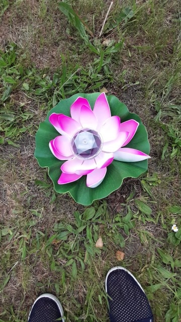 Floating Lotus Flower Solar Pool Lights photo review