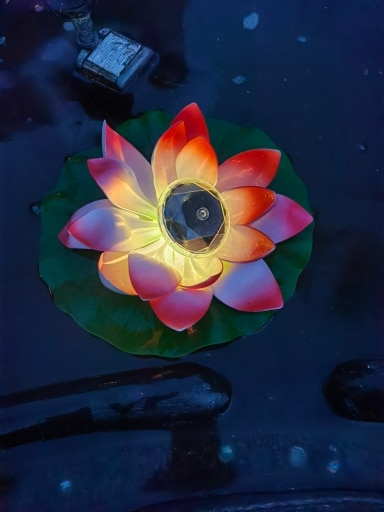 Floating Lotus Flower Solar Pool Lights photo review