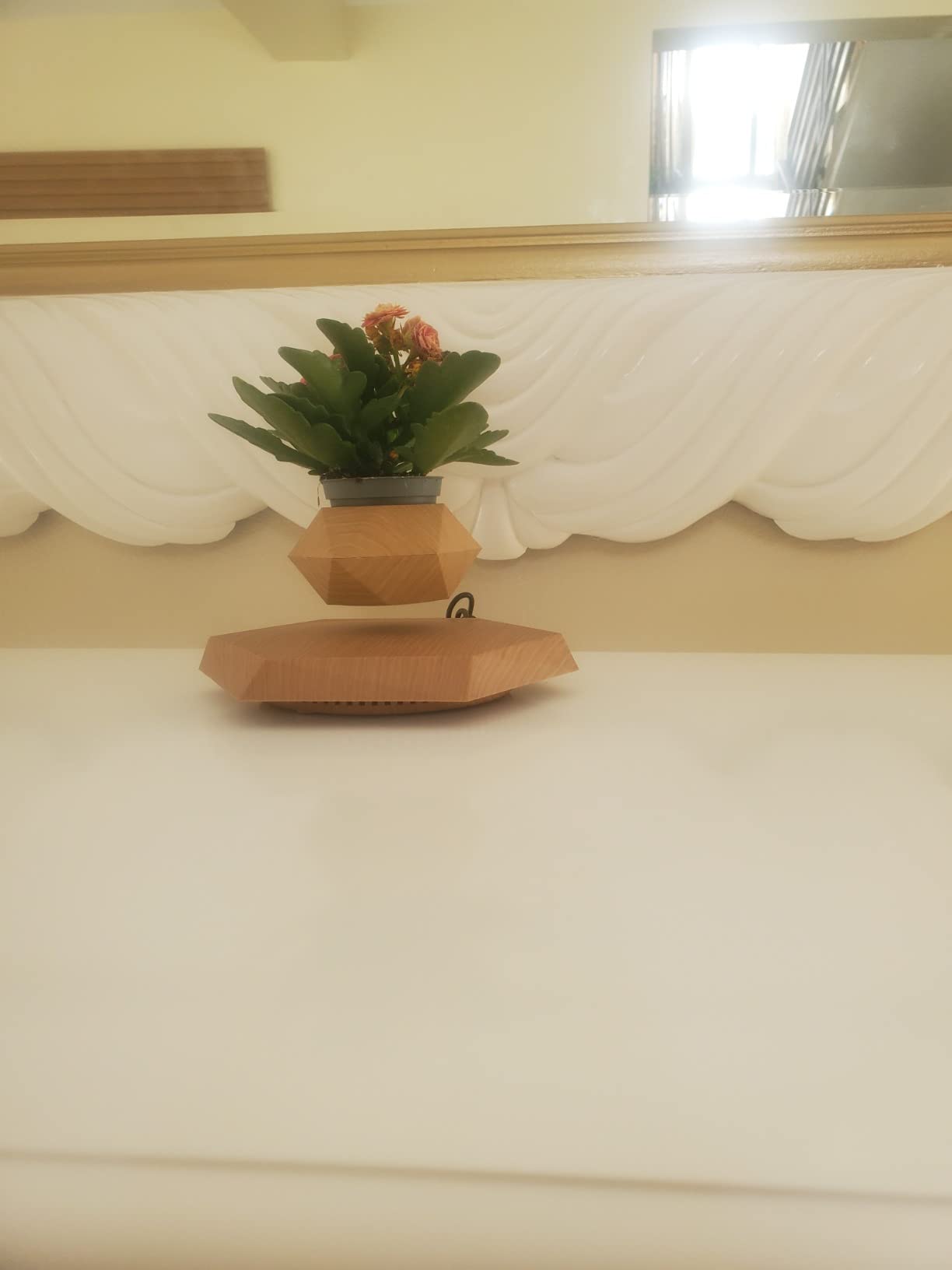 Floating Magnetic Levitating Flower Pot Bonsai photo review