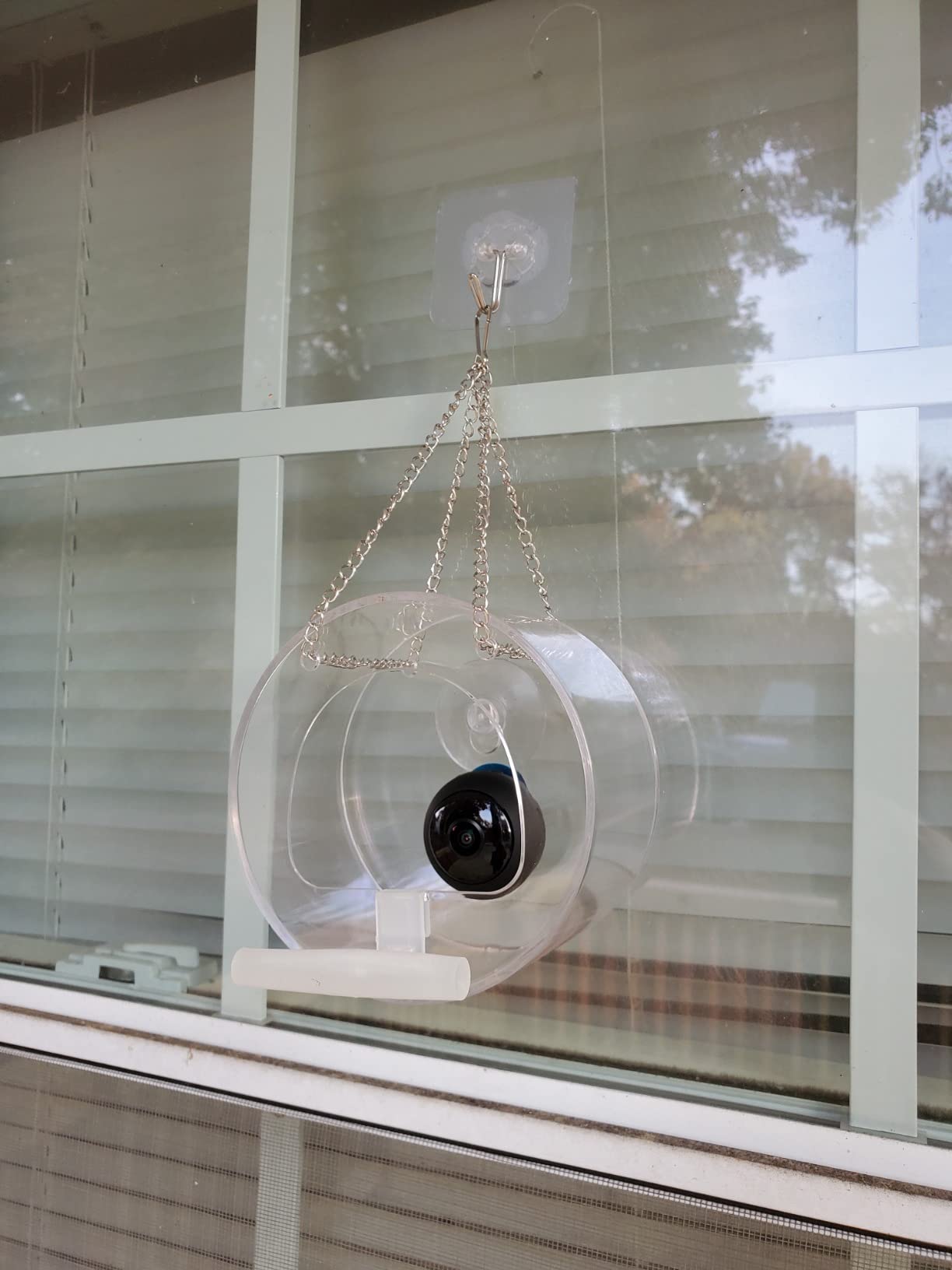 Intelligent Outdoor Bird Feeder with Real-time Camera photo review