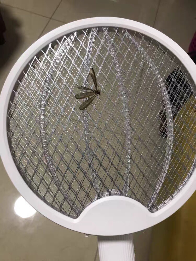 Foldable Raqueta Electric Mosquito Zapper photo review