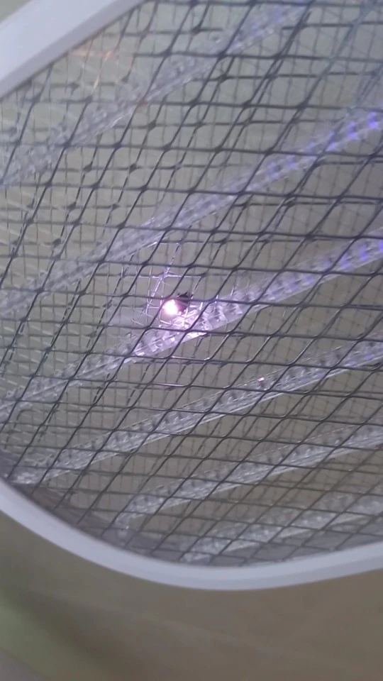 Foldable Raqueta Electric Mosquito Zapper photo review