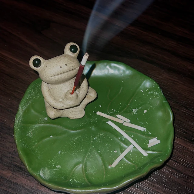 Frog Incense Holder photo review