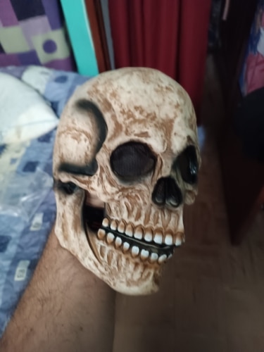 Full Head Skull With Movable Jaw photo review