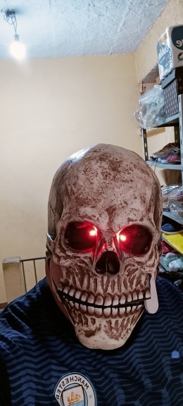 Full Head Skull With Movable Jaw photo review