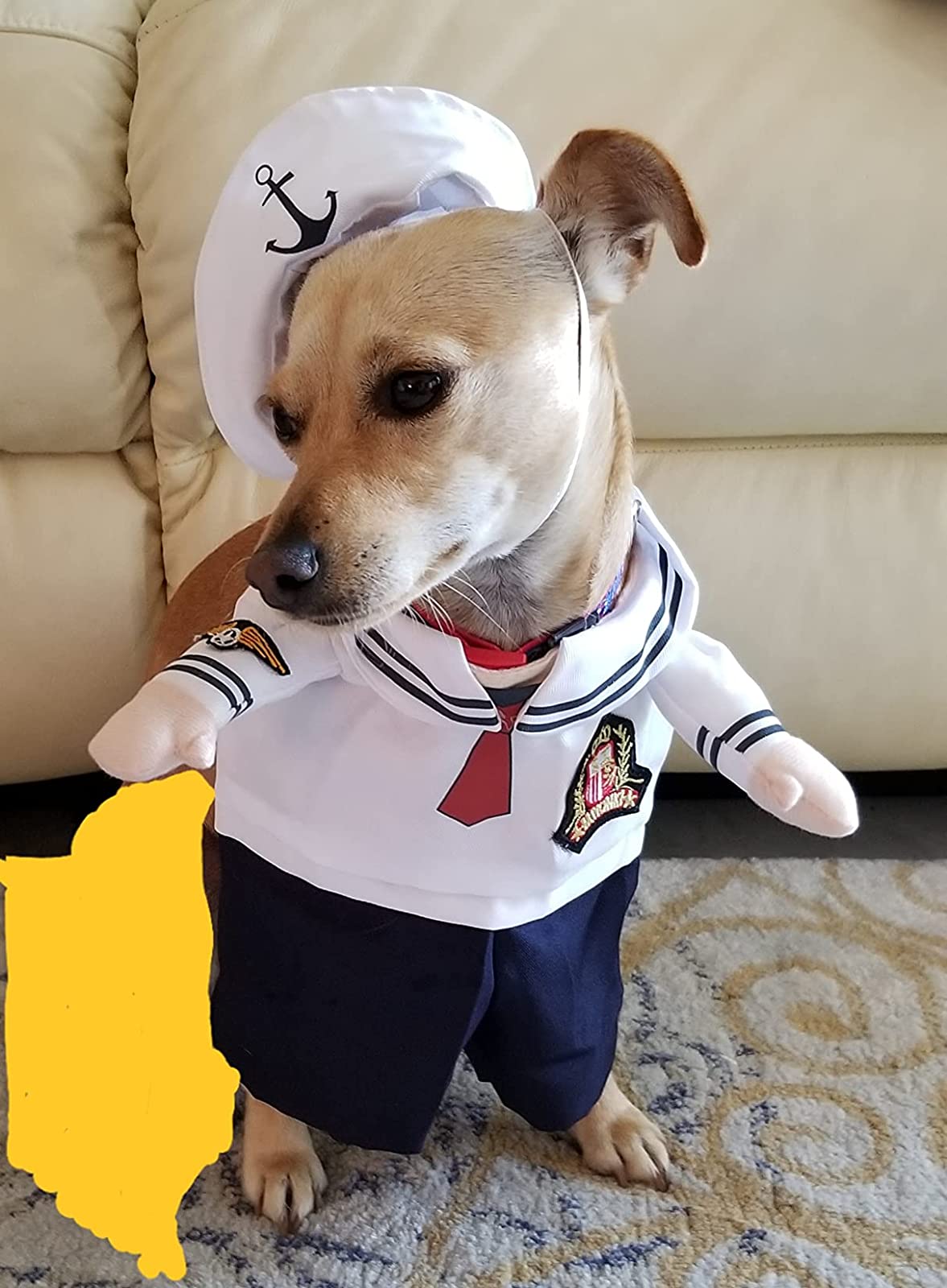 Funny Dog Costume photo review