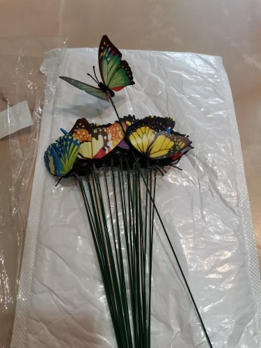 Solar Powered Dancing Fluttering Butterflies & Hummingbirds Garden Decoration photo review