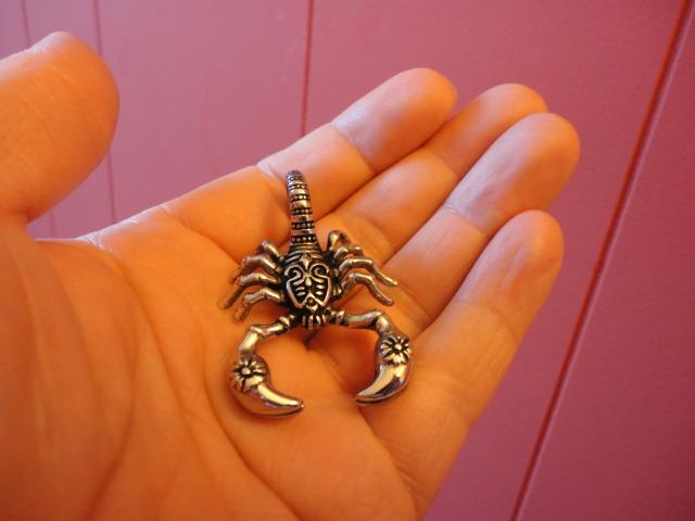 Scorpio Zodiac Pendant Necklace: Vintage Stainless Steel Scorpion Jewelry photo review