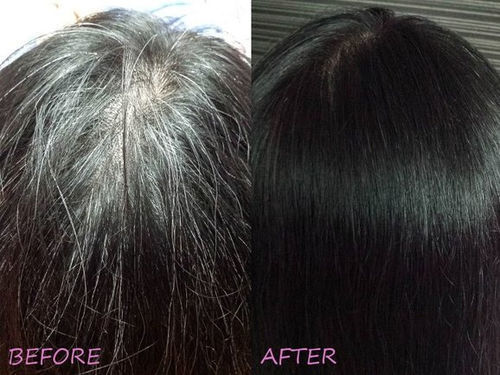 Grey Reverse Hair Darkening Shampoo photo review