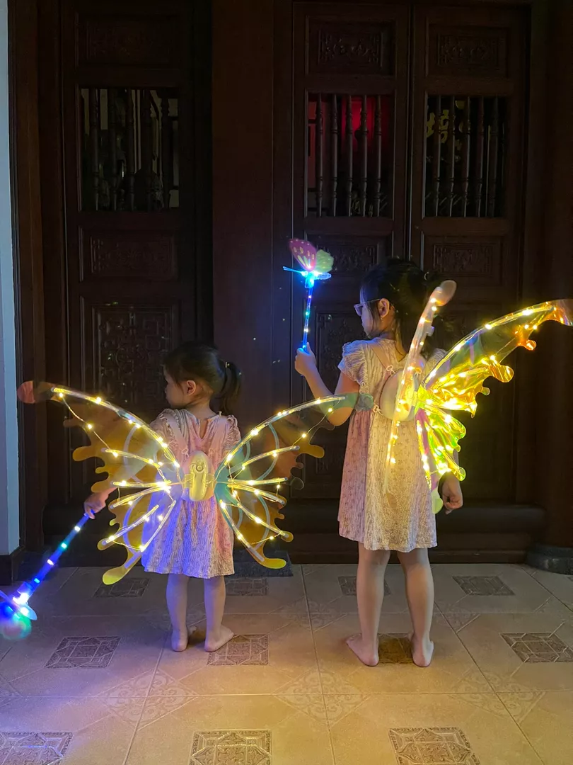 Electric Fairy Wings With LED Lights For Halloween Kids Cosplay Costume photo review