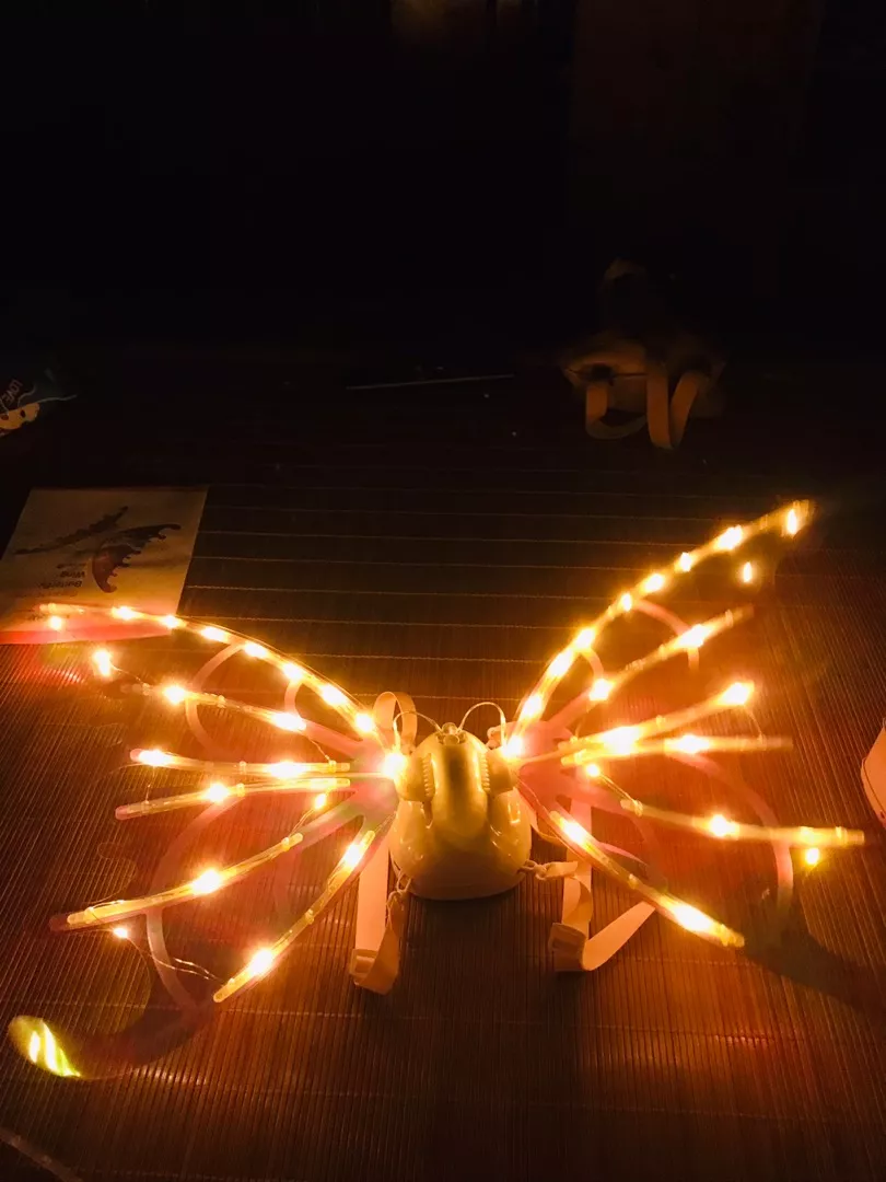 Electric Fairy Wings With LED Lights For Halloween Kids Cosplay Costume photo review