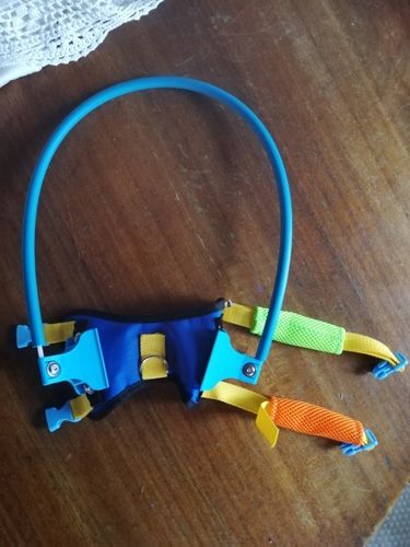 Halo Harness for Blind Dogs with Cataract - Anti-Collision Protection photo review