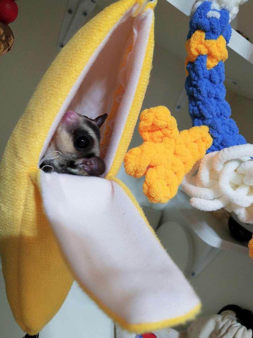Convenient Bananastyle Bedroom For Mice photo review