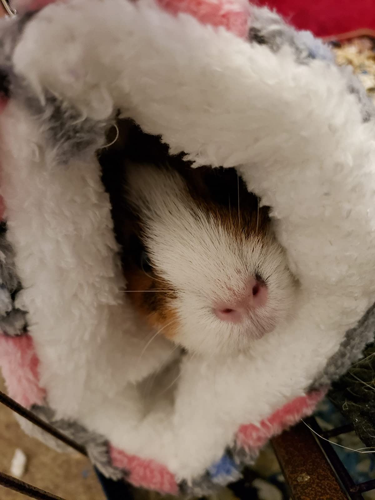 Hamster Tunnel and Hammock for Small Animals photo review