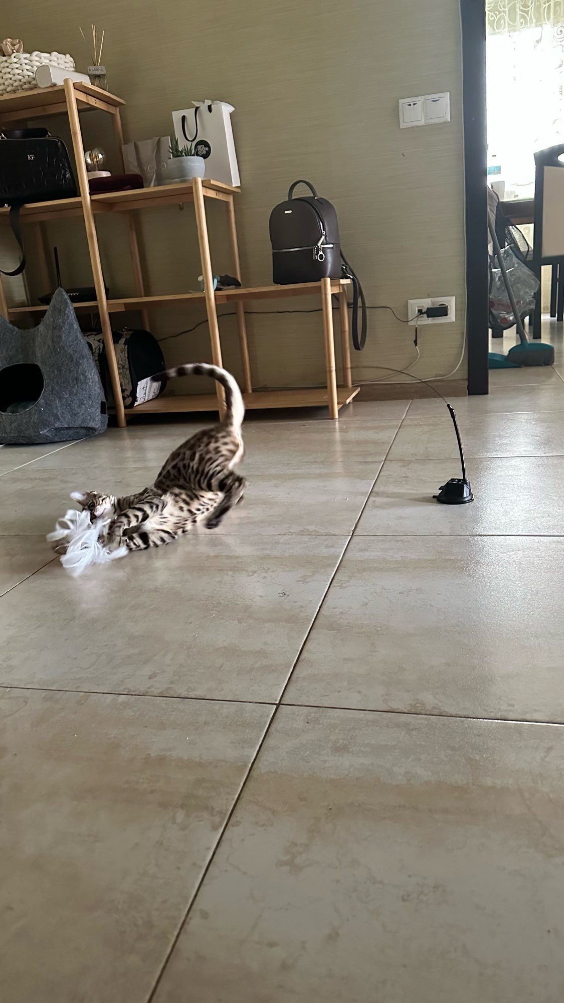 Interactive Cat Toy with Feather Bird photo review